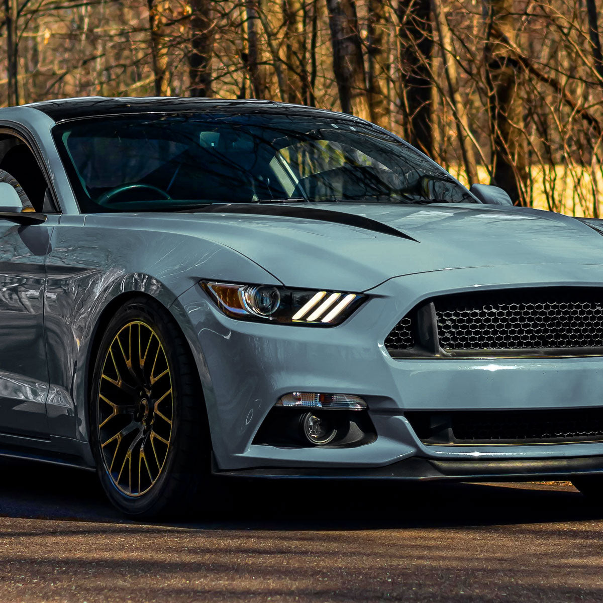 Spec-D 15-17 Mustang/18-20 Shelby Strip Xenon Pro Headlights PS Black