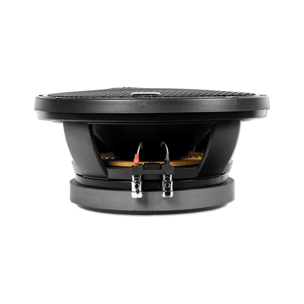 Nemesis Audio NA-10MR 10