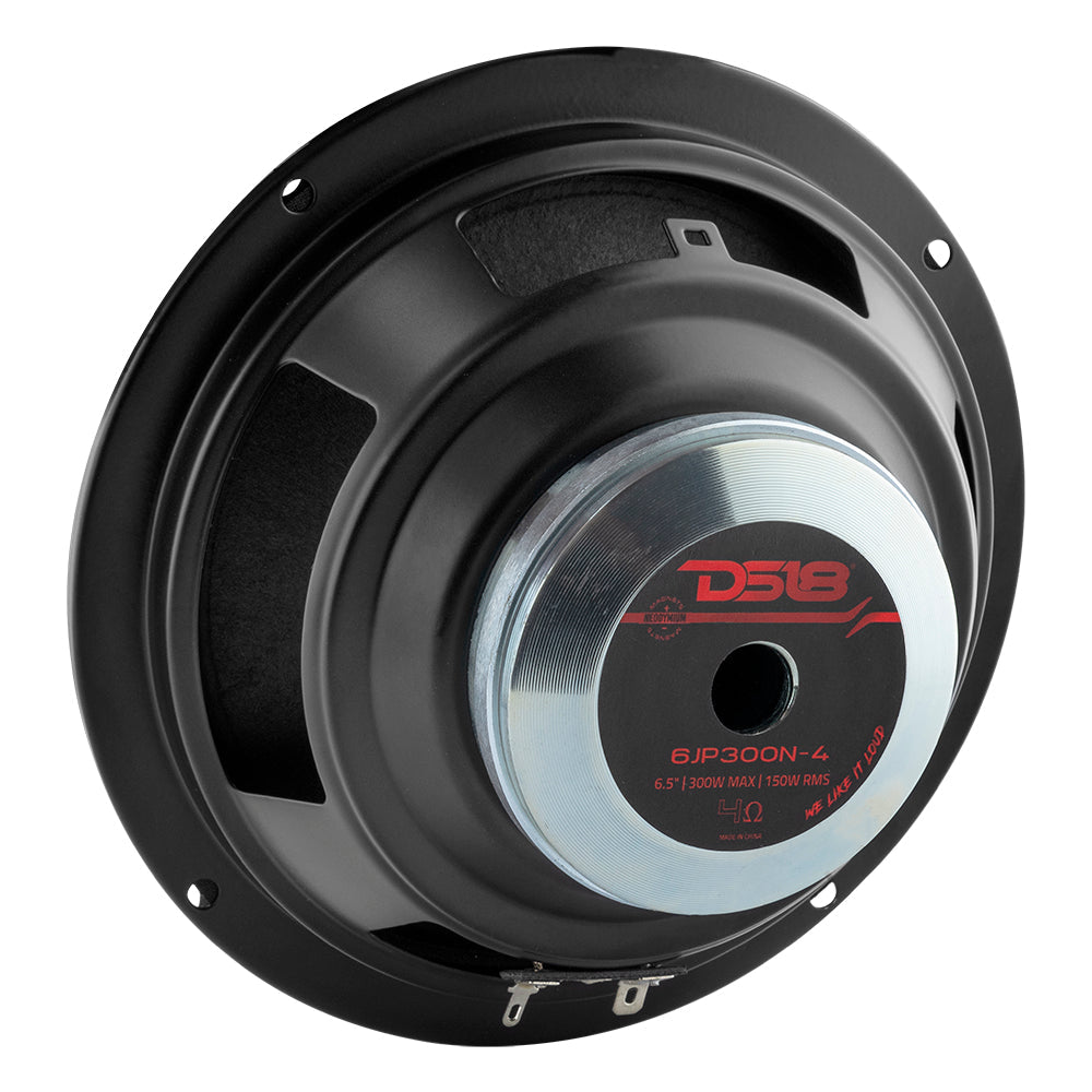 DS18 PRO 6.5