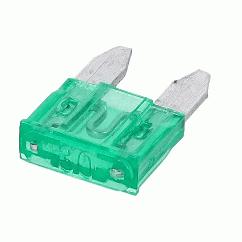 ATM30-25 Fuses 30 AMP - Package of 25