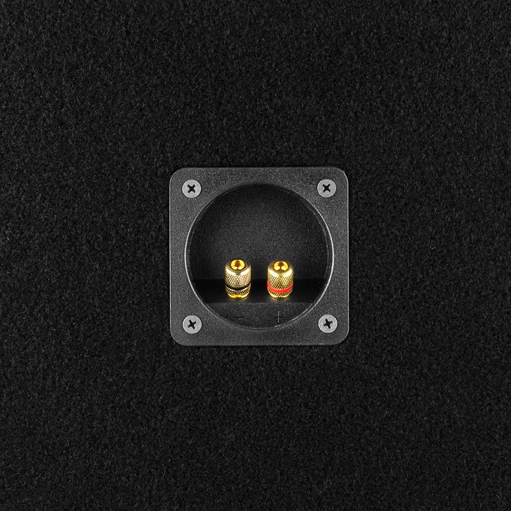 DS18 PANCADAO Ported box with 2 X 12