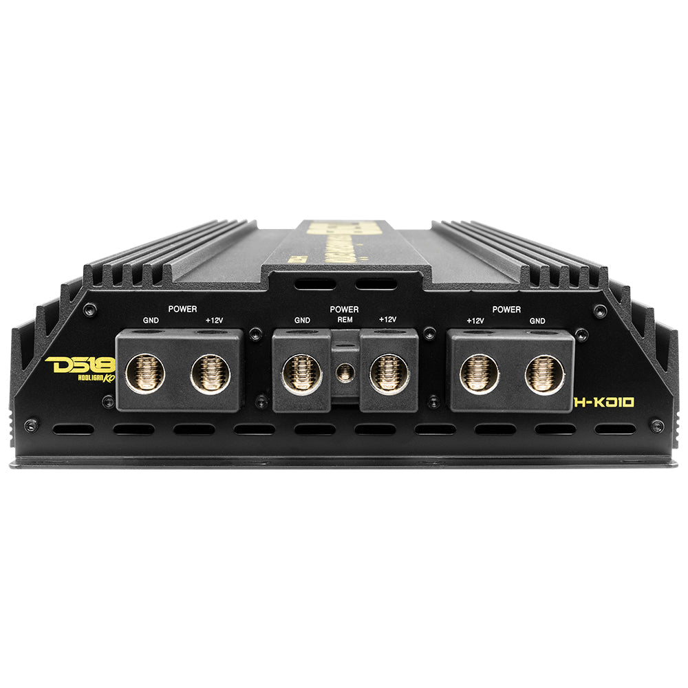 DS18 HOOLIGAN KO Gold 1-Channel Amplifier with Voltmeter 10000 Watts Rms @ 1-Ohm Made In Korea