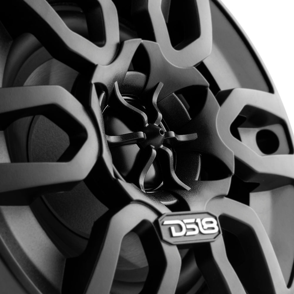 DS18 MP 4