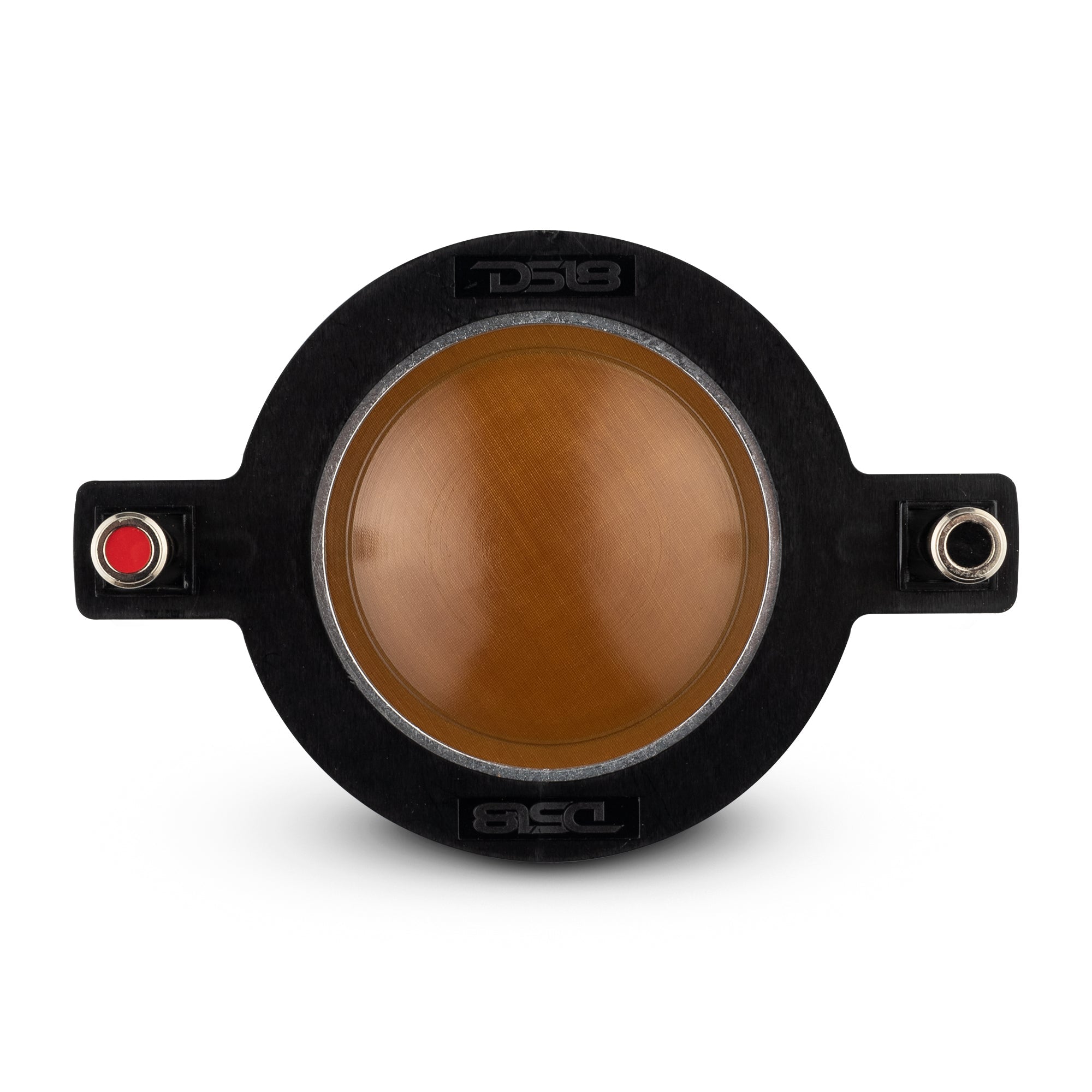 DS18 PRO 2