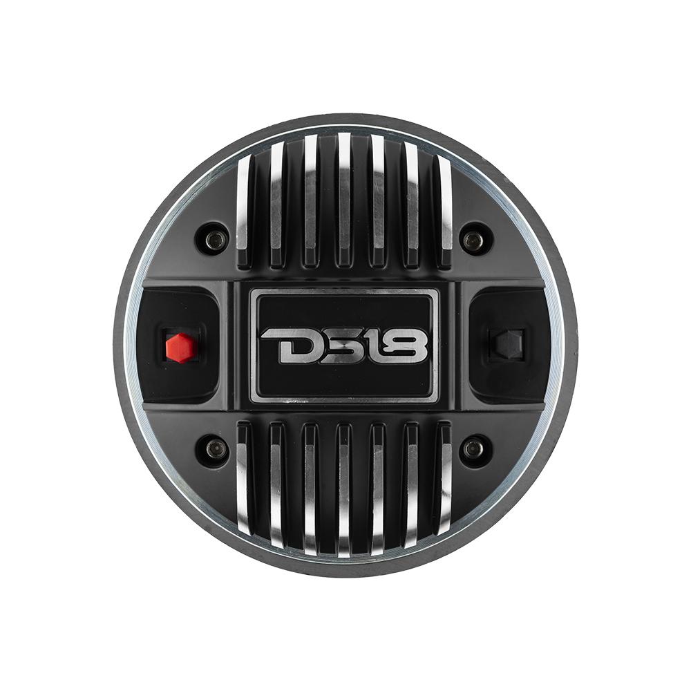 DS18 2
