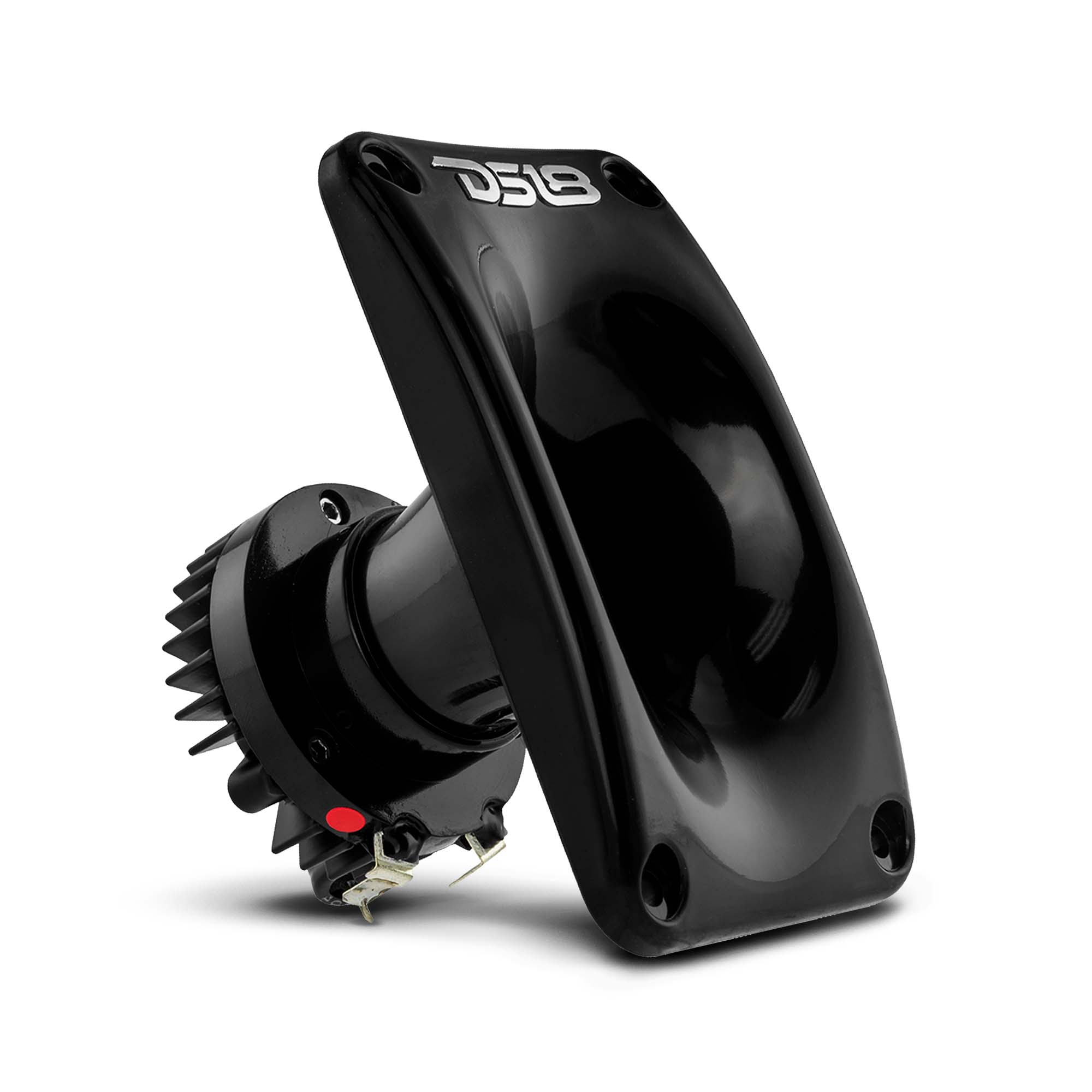 DS18 1