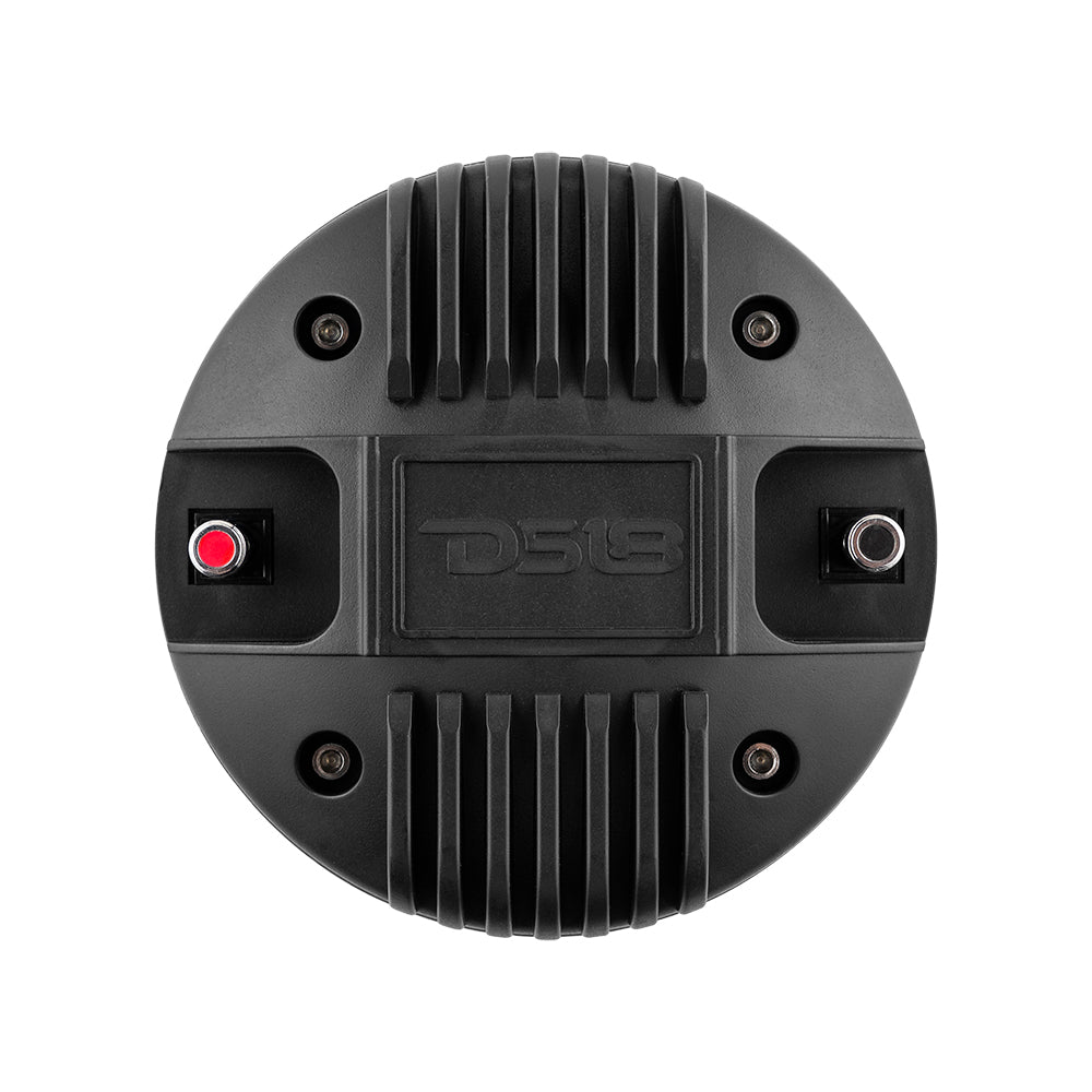 DS18 2