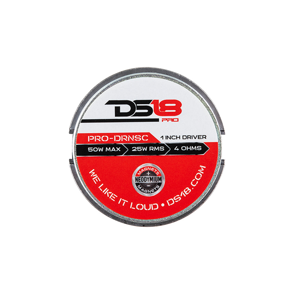 DS18 1
