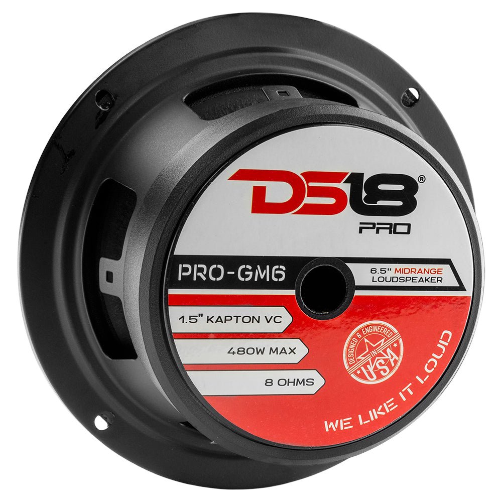 DS18 PRO-GM6 6.5