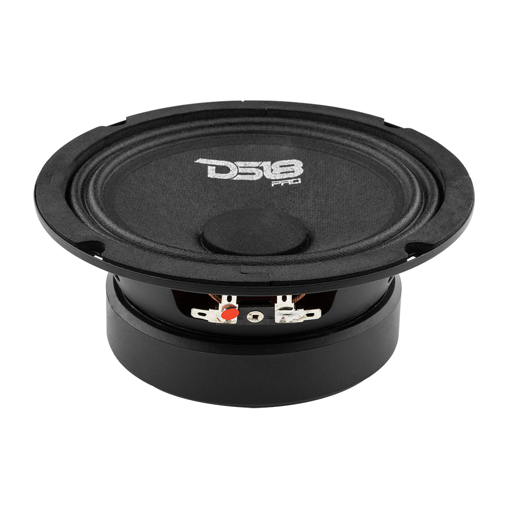 DS18 PRO-GM6 6.5