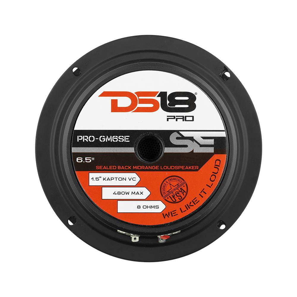 DS18 PRO-GM6SE 6.5