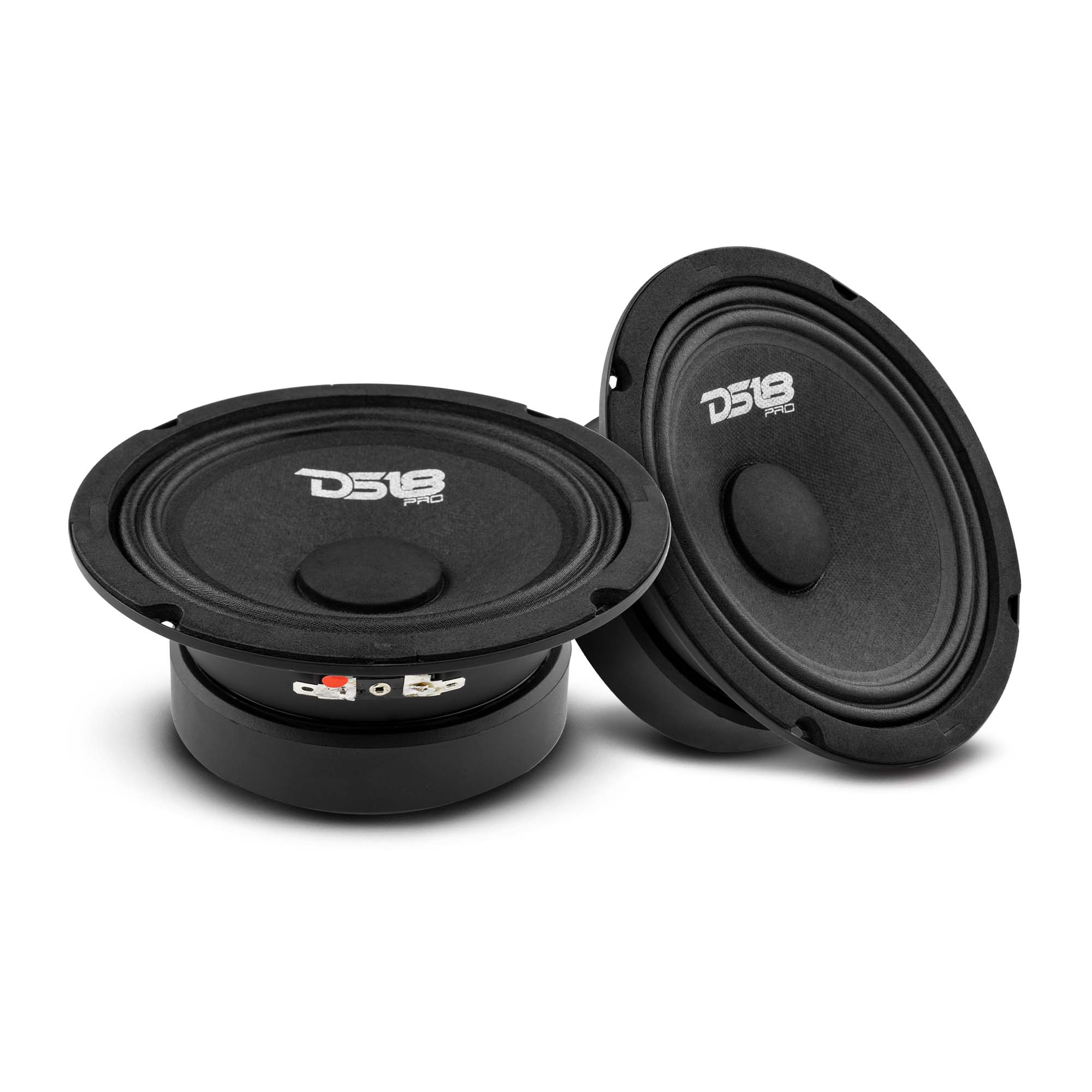 DS18 PRO-GM6SE 6.5