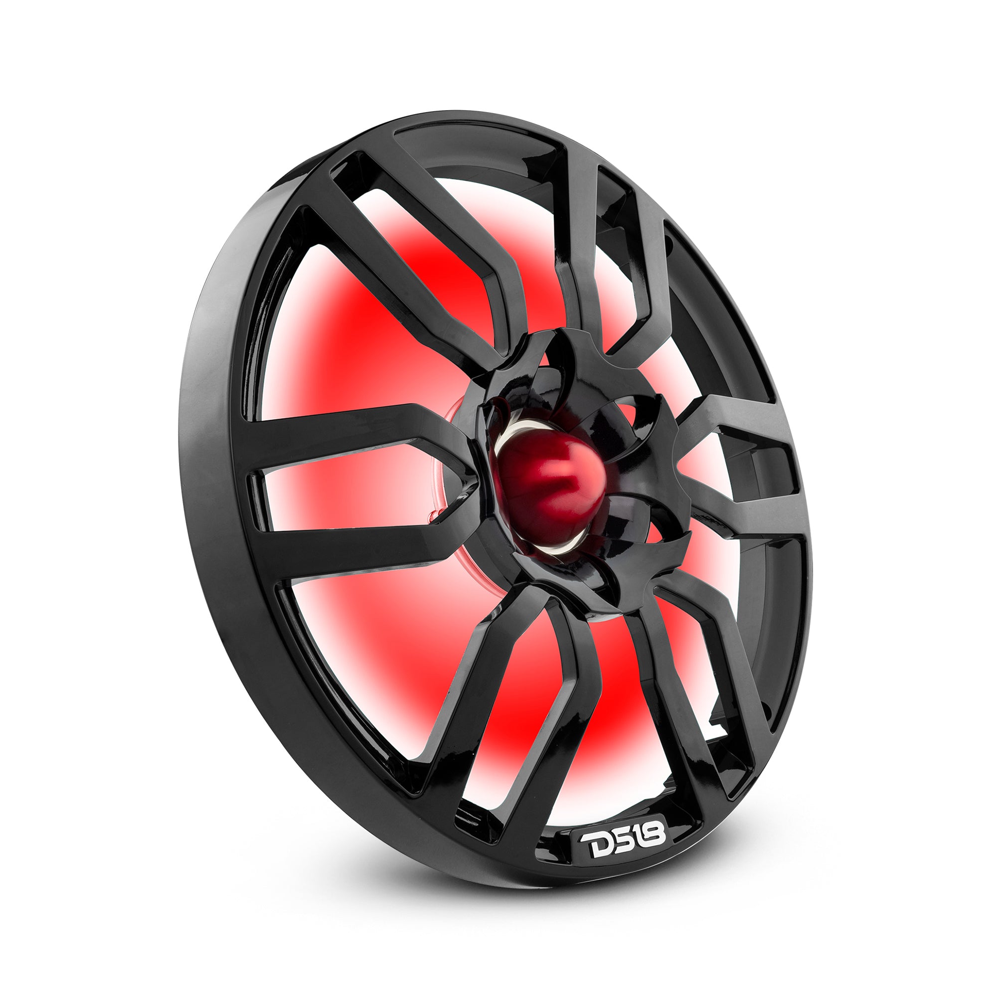 DS18 PRO-GTW10BK 10