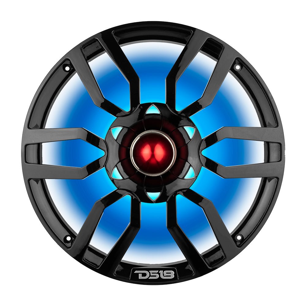 DS18 PRO-GTW10BK 10