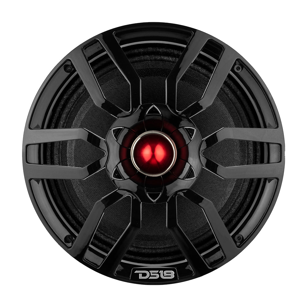 DS18 PRO-GTW10BK 10
