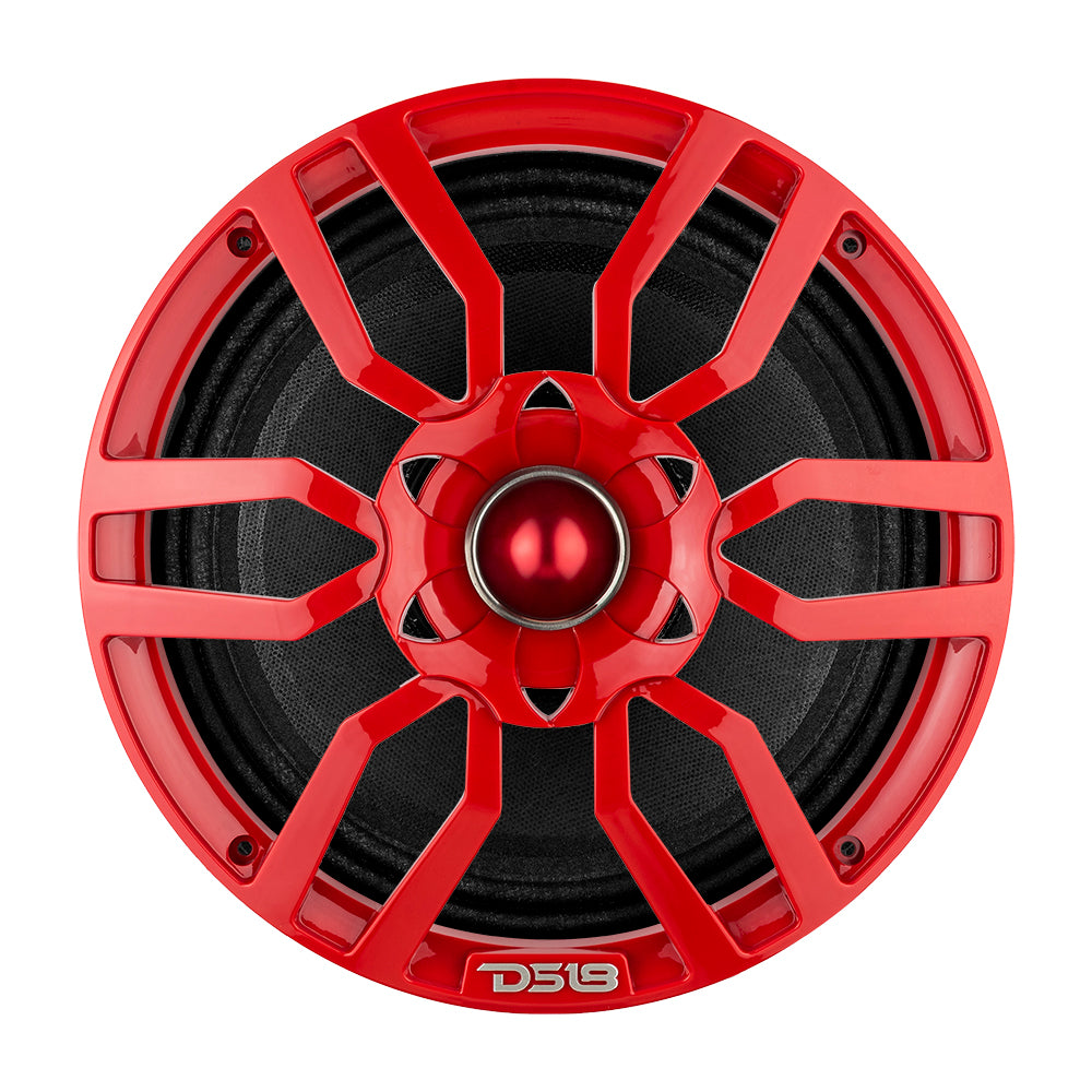 DS18 PRO-GTW10RD 10