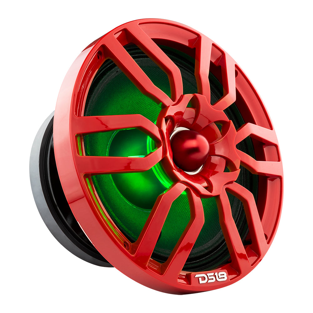 DS18 PRO-GTW10RD 10