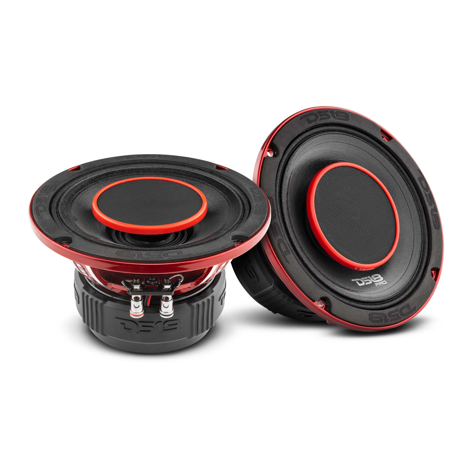 DS18 Dual 6.5