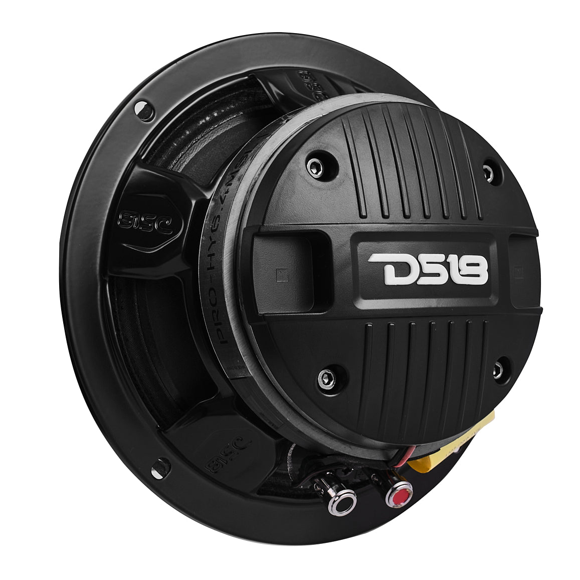DS18 PRO 6.5