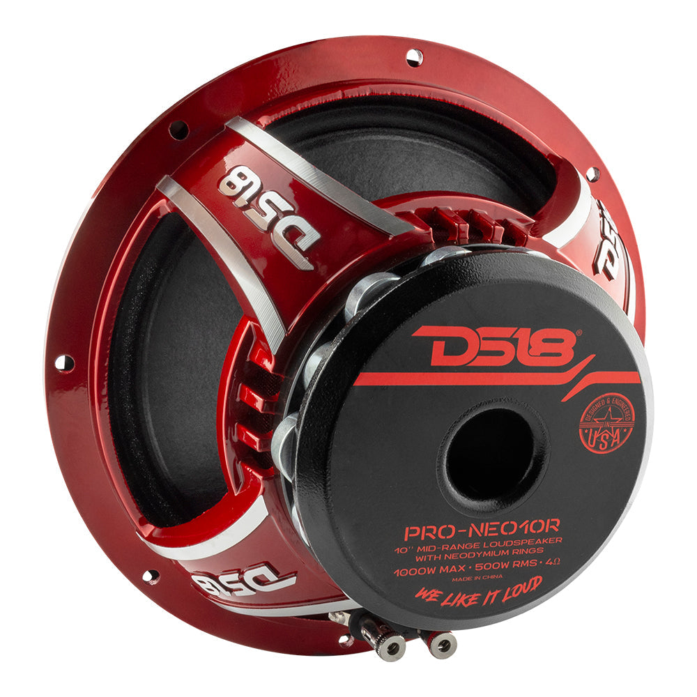 DS18 PRO 10