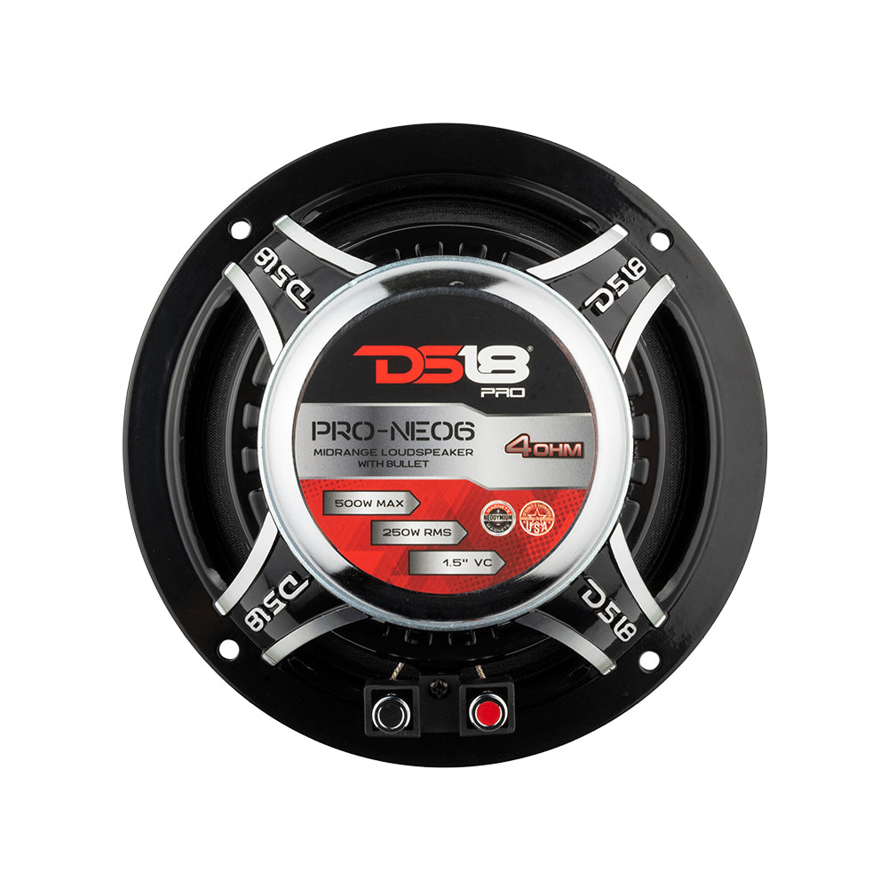 DS18 PRO 6.5