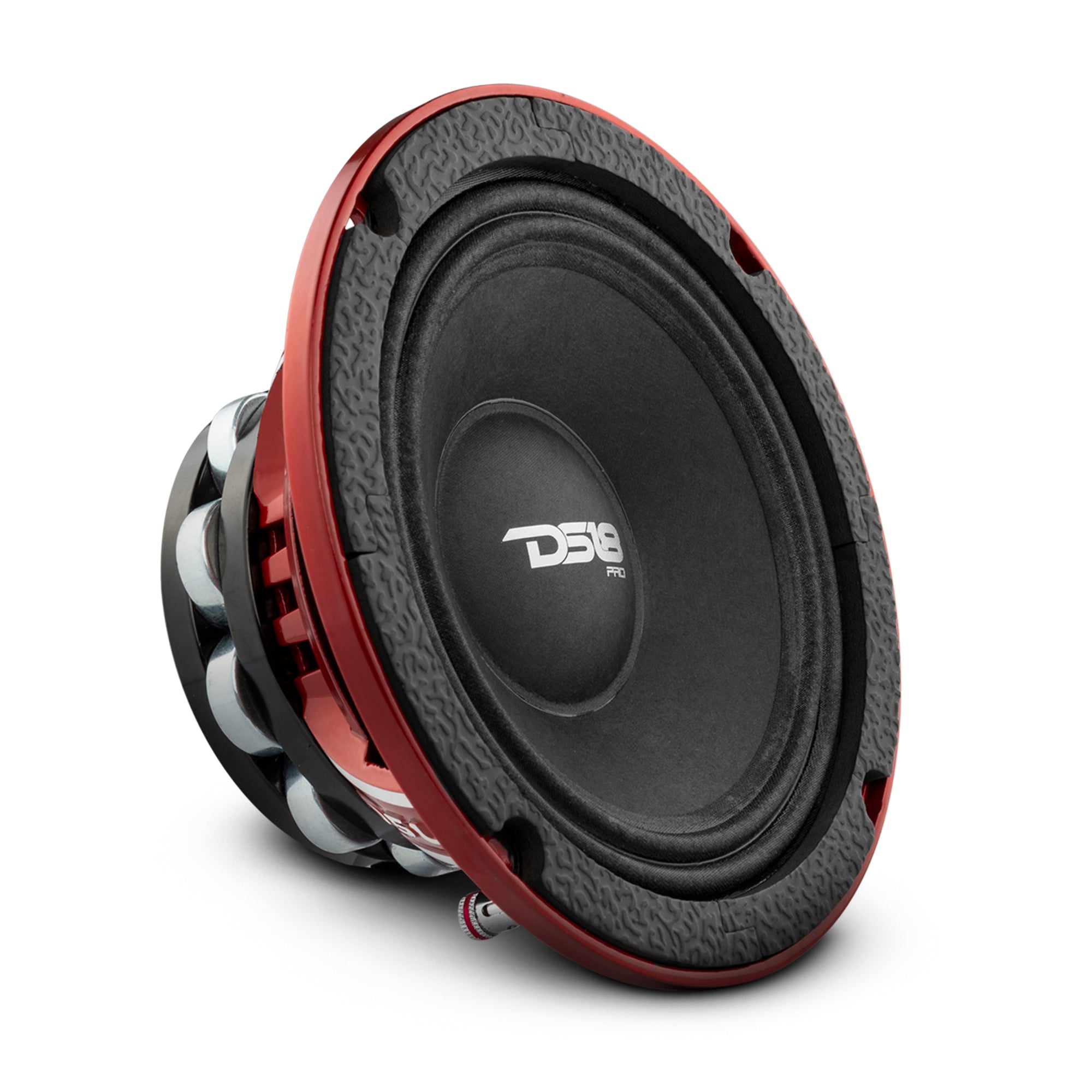 DS18 PRO 6.5