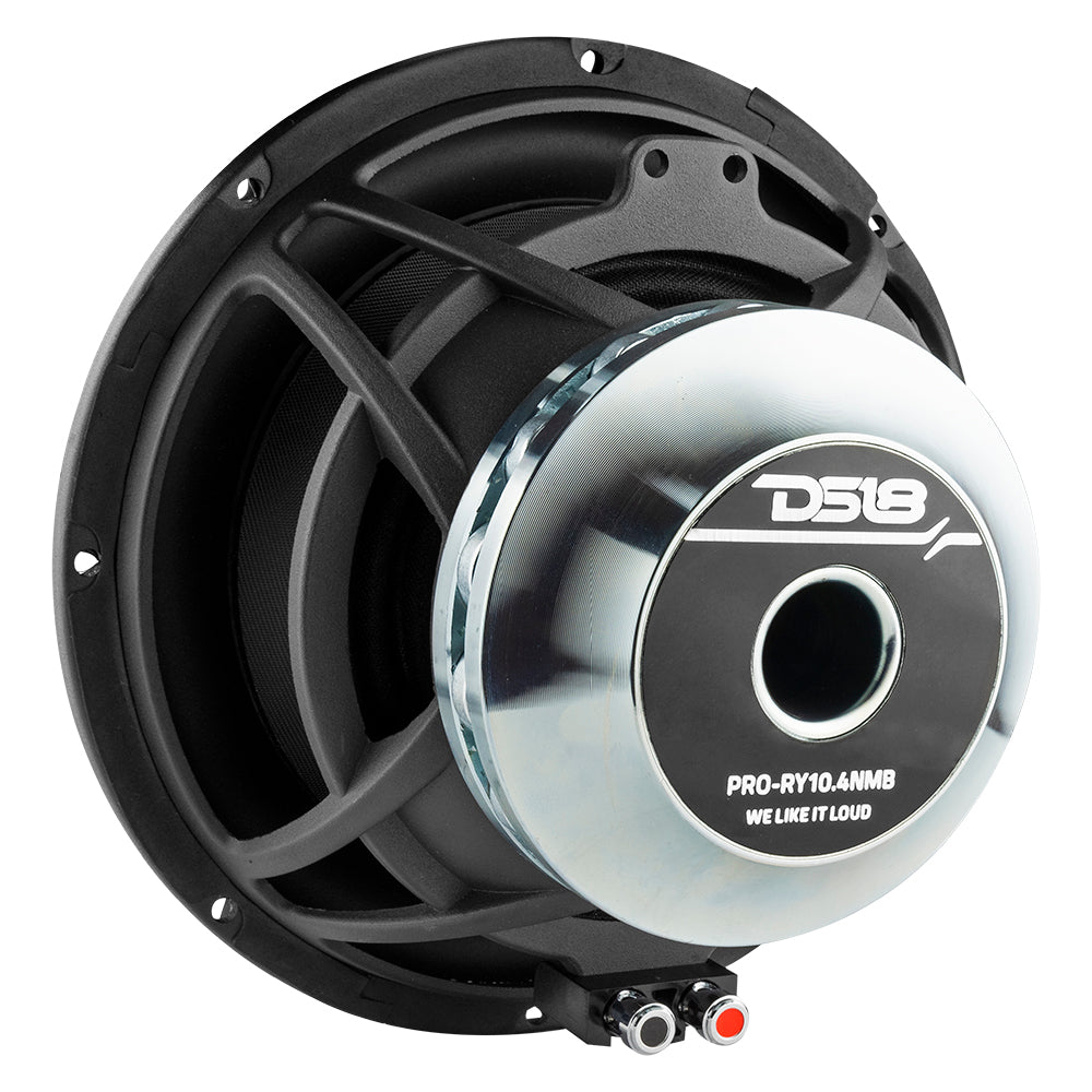 DS18 PRO 10