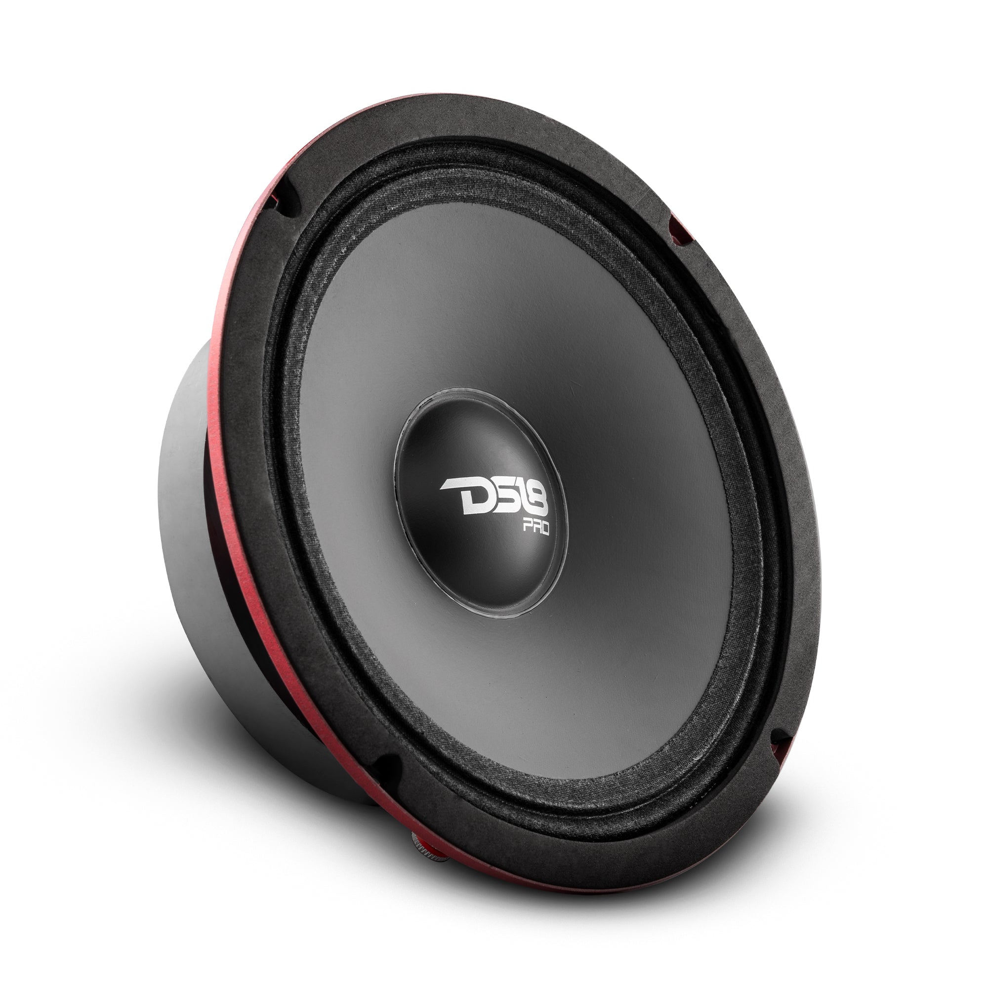 DS18 PRO 6.5