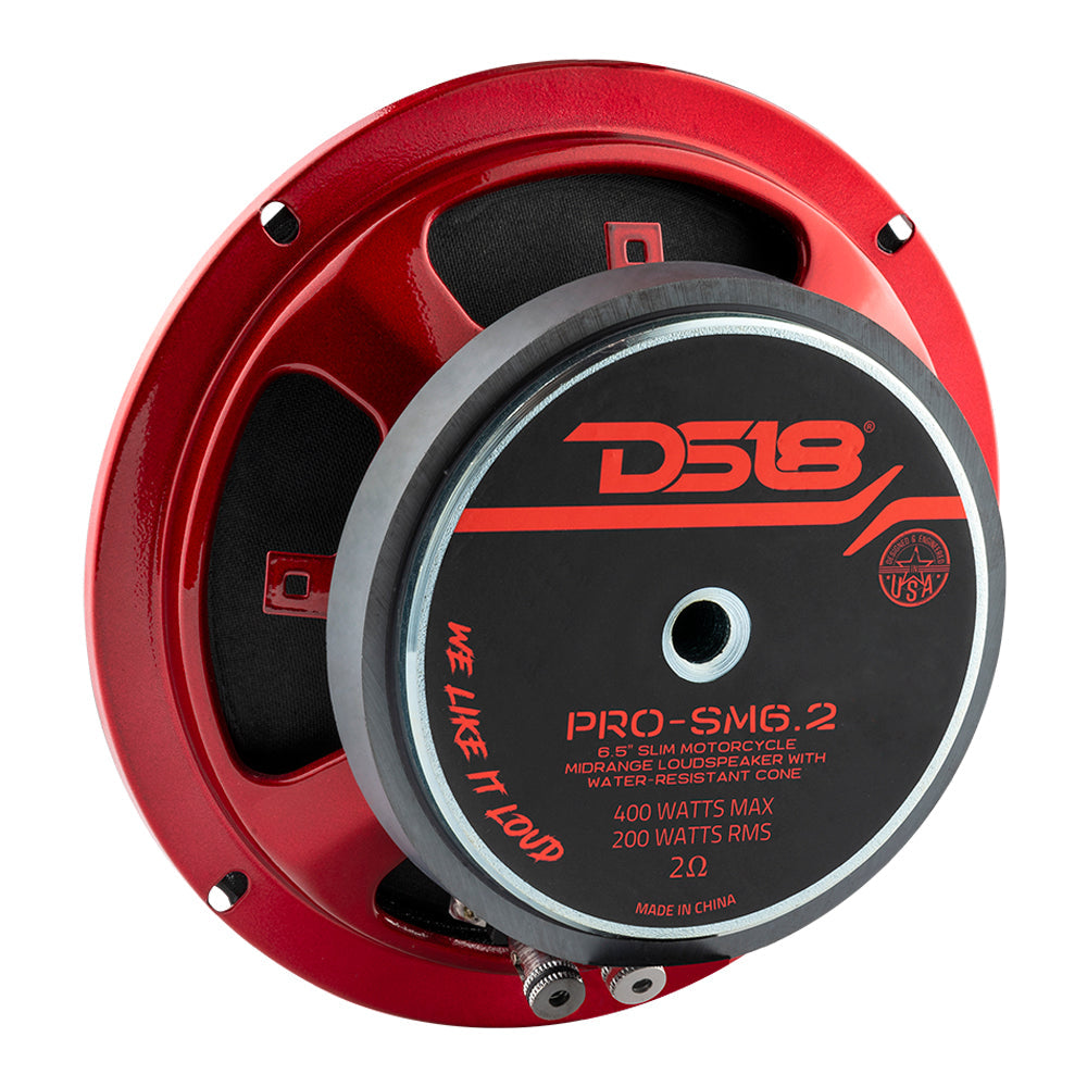 DS18 PRO 6.5