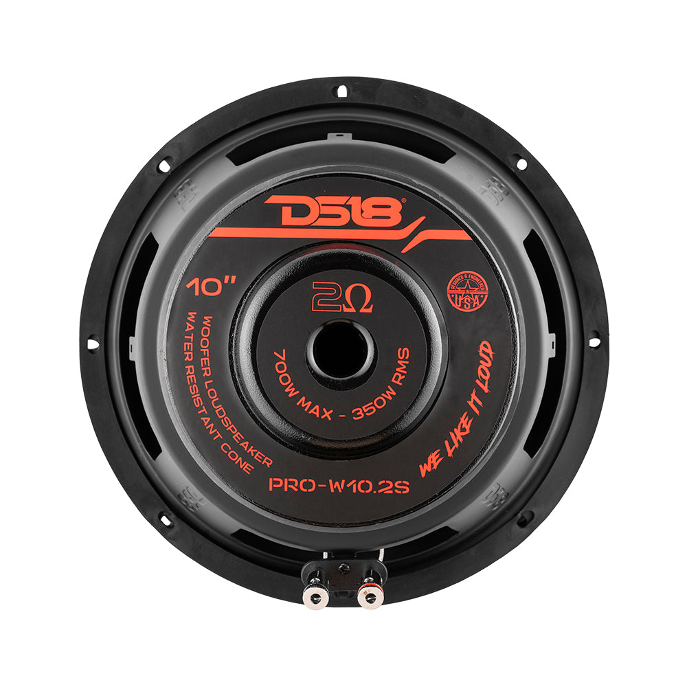 DS18 PRO 10