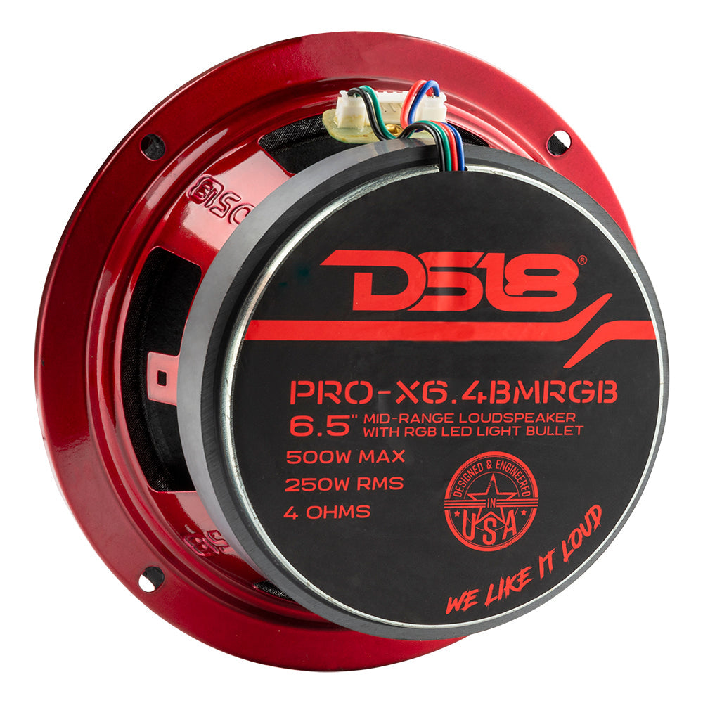 DS18 PRO-X 6.5