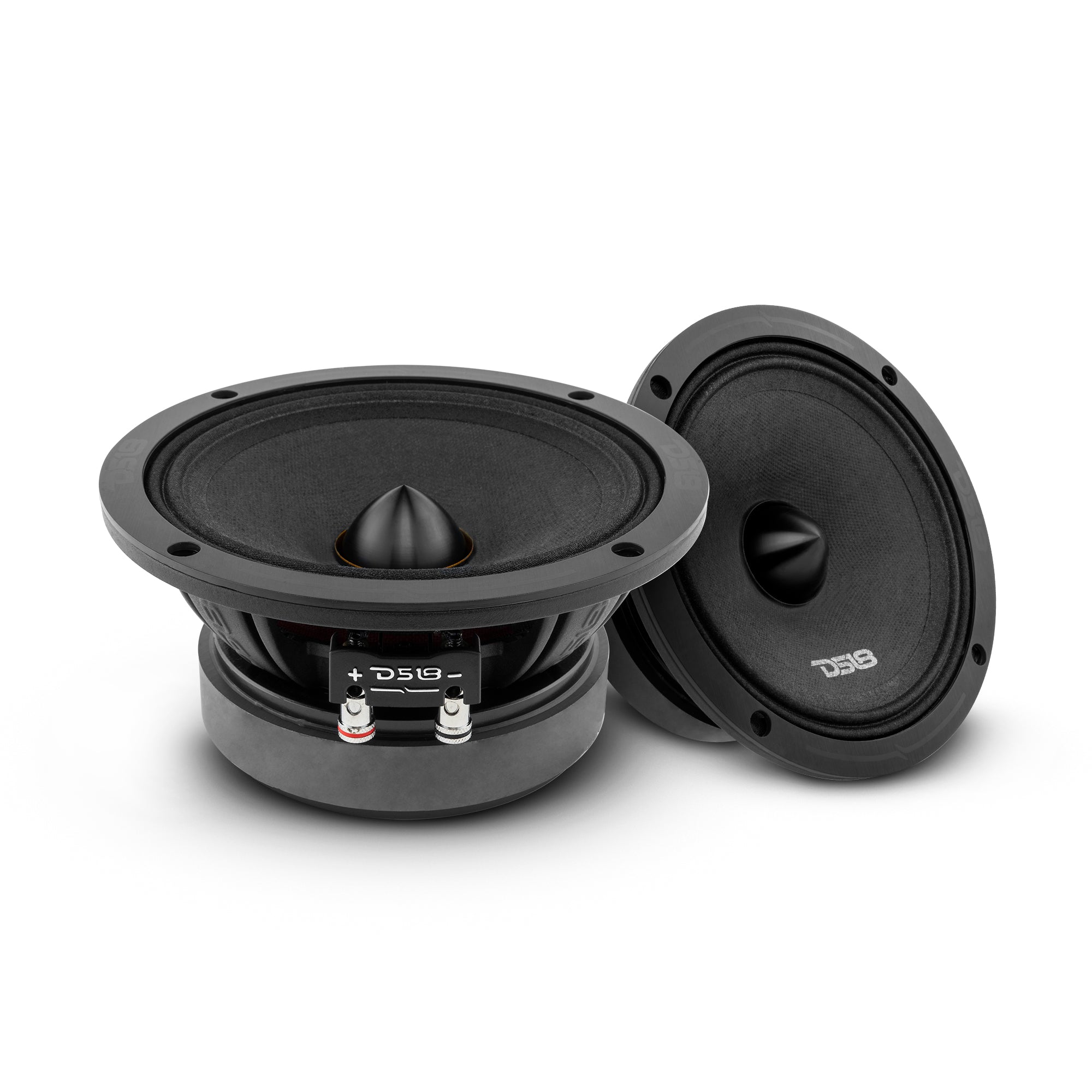 DS18 PRO-ZXI 6.5