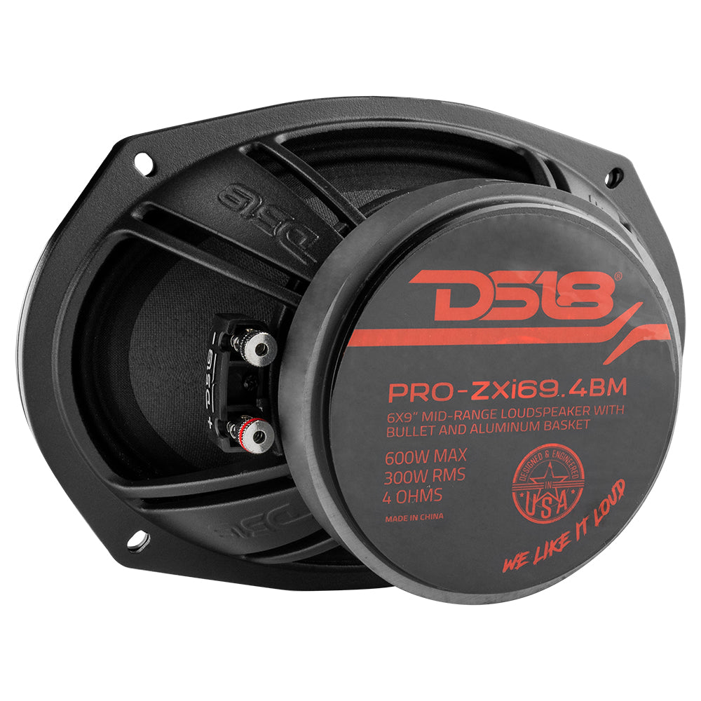 DS18 PRO-ZXI 6x9