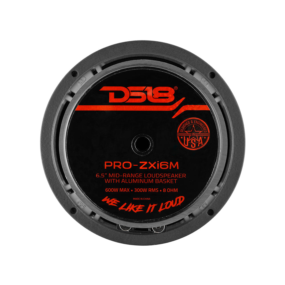 DS18 PRO-ZXI 6.5