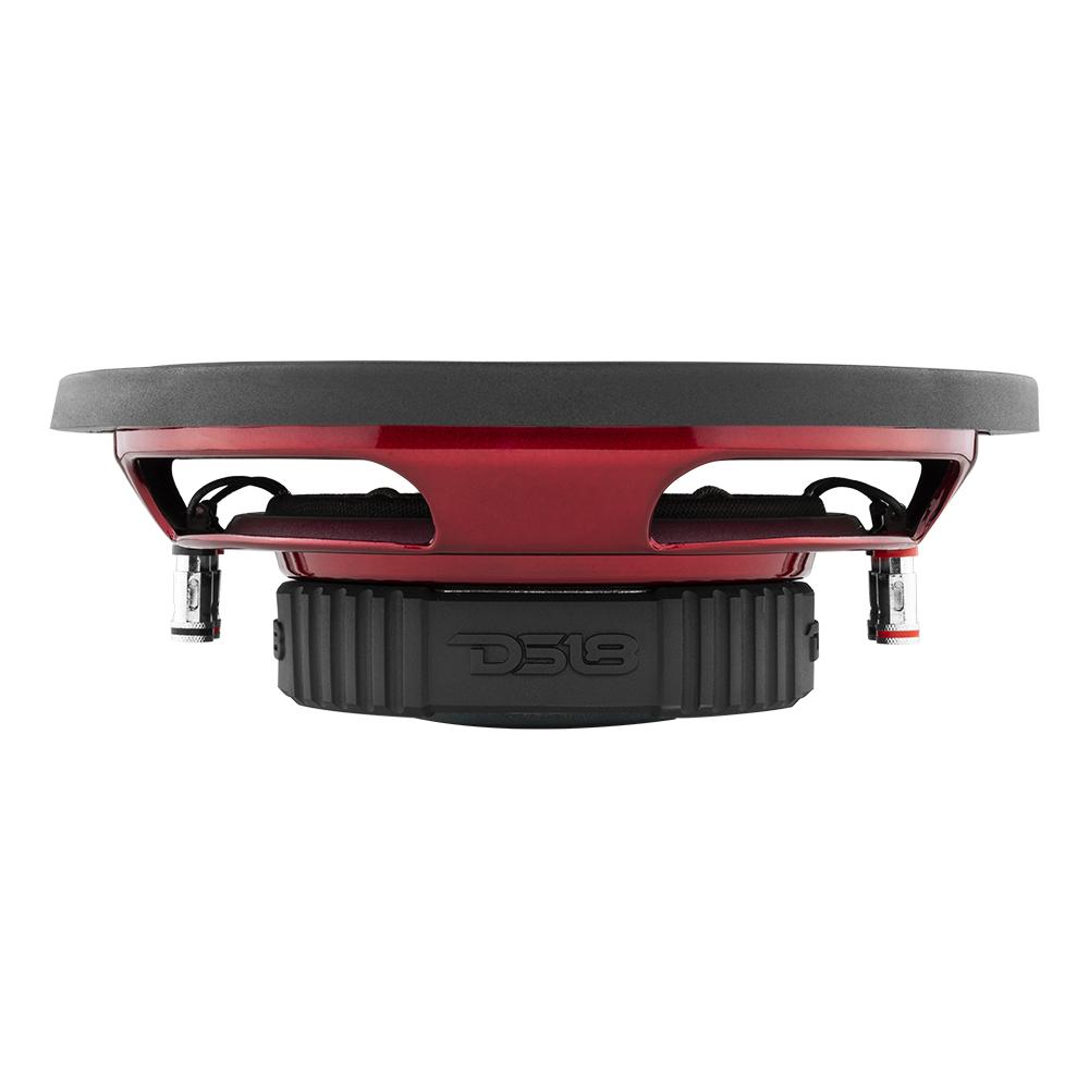 DS18 SRW Shallow-Mount 10