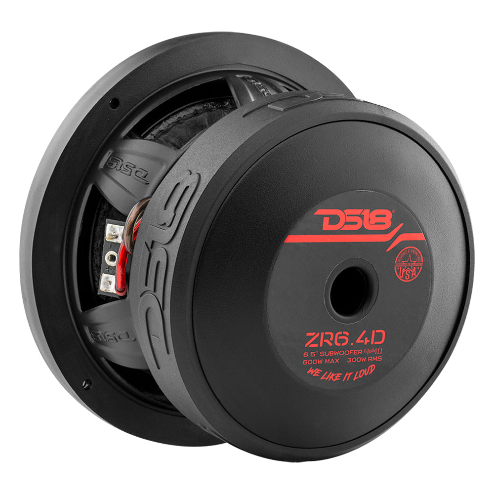 DS18 ZR 6.5