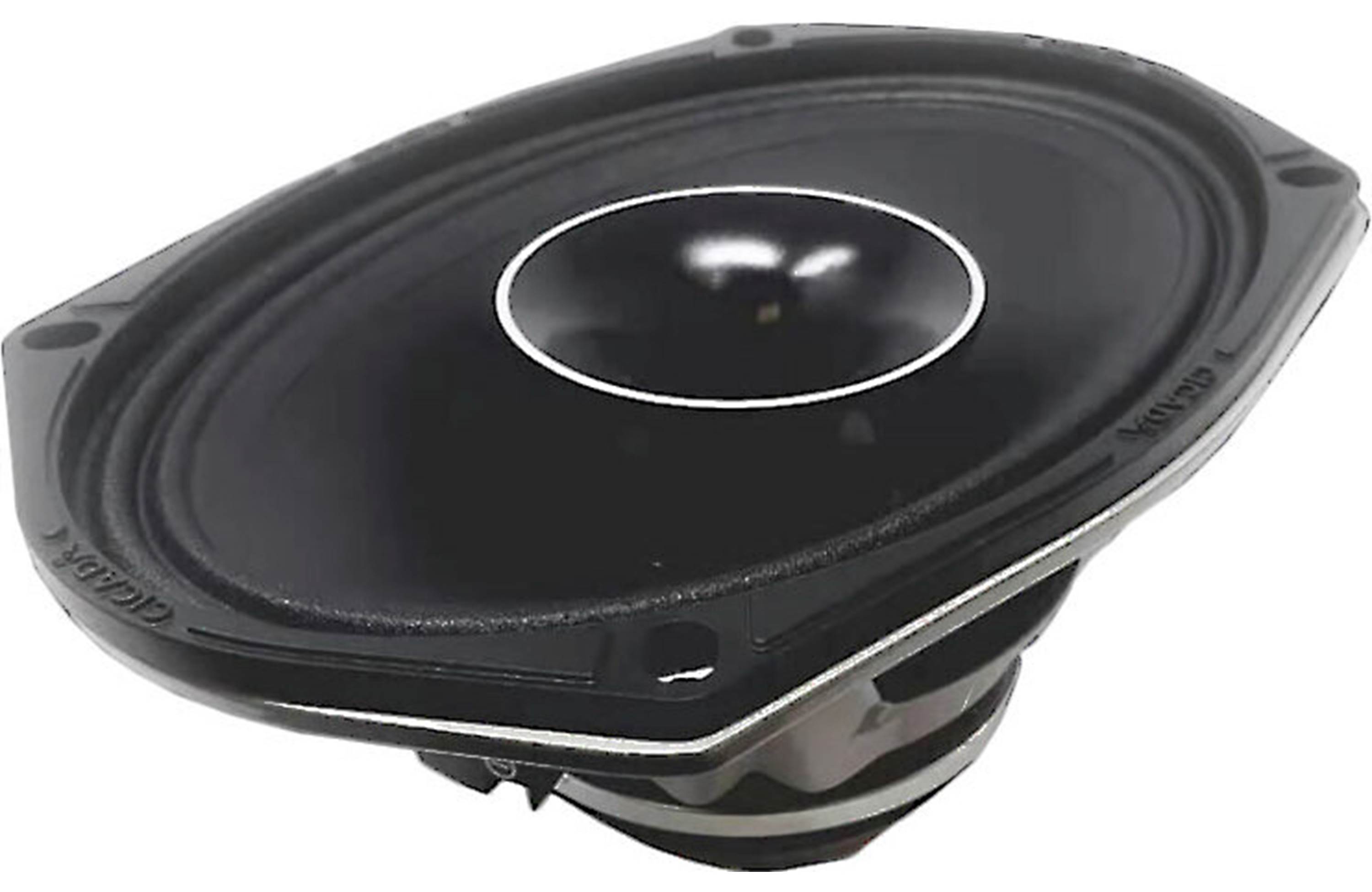 Cicada Audio CH69.2W CoAx Horn water-resistant 6