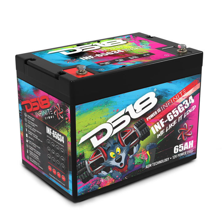DS18 INF-65G34AH INFINITE 65 AH 2000 Watts AGM Group 34 Power Cell 12 Volt Battery