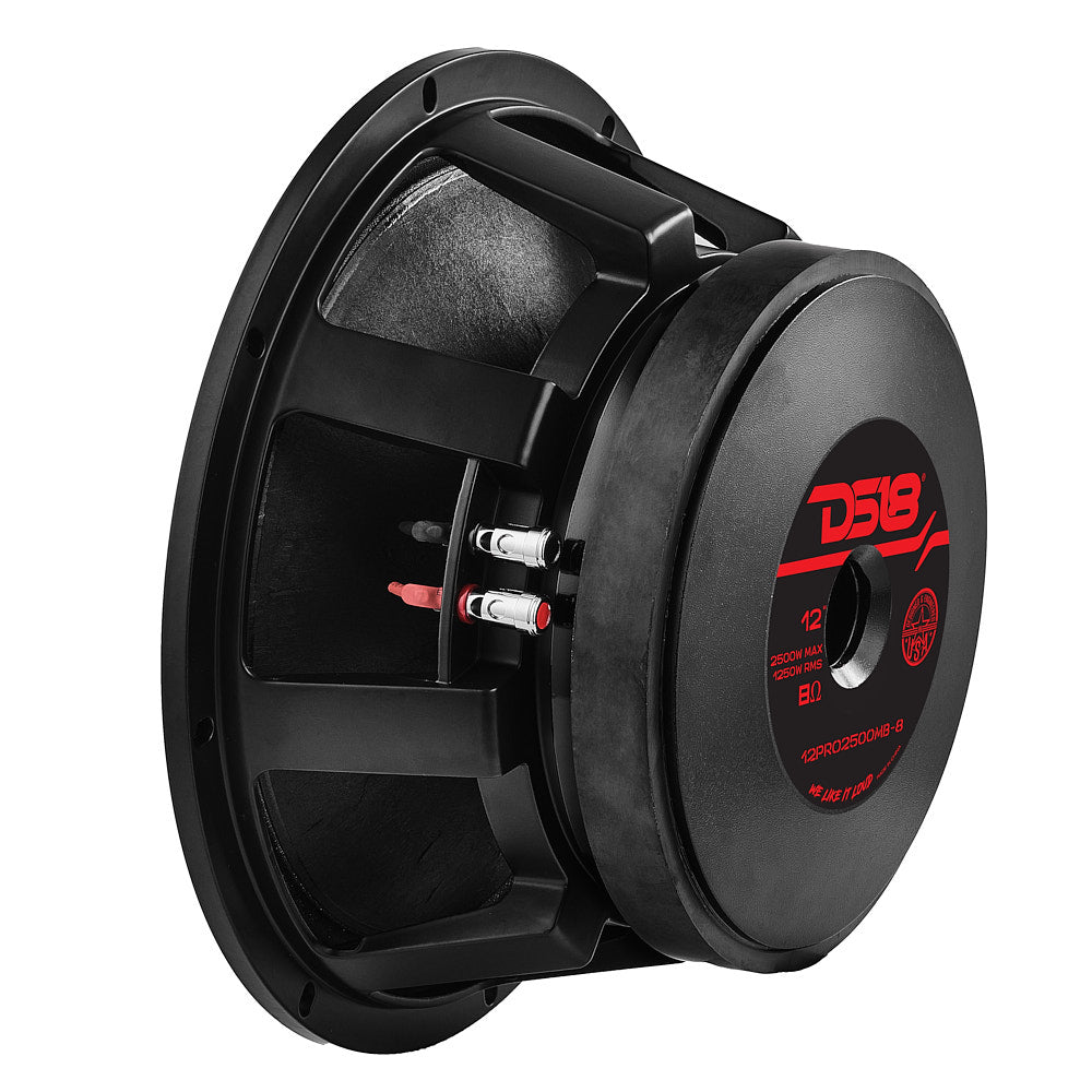 DS18 PRO 12