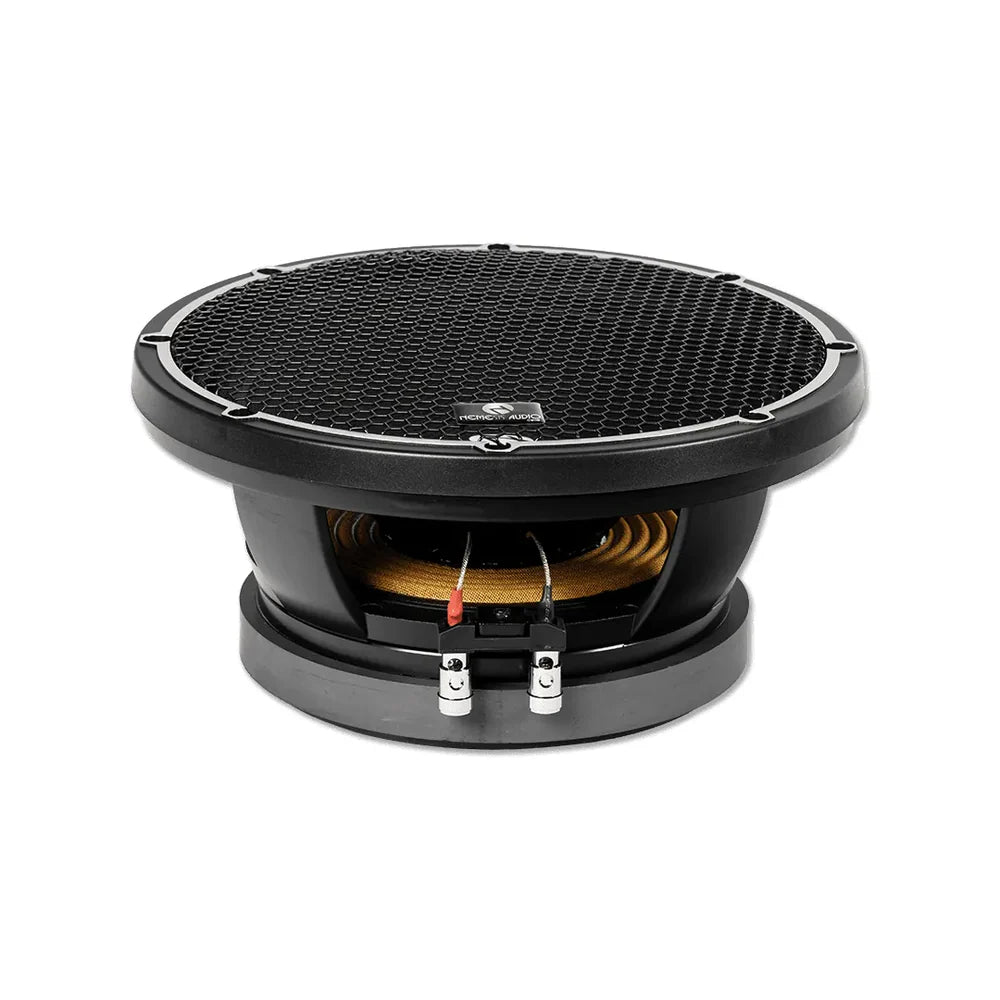 Nemesis Audio NA-10MR 10