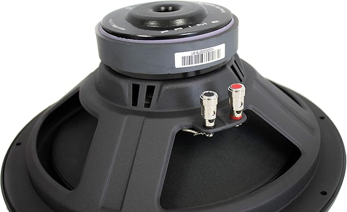 Rockford Fosgate R1S4-12 12