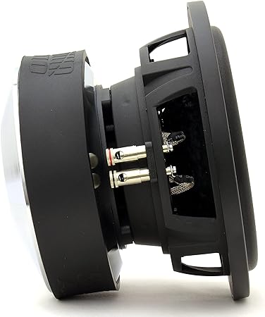 Sundown Audio U-10 V2 D2 10