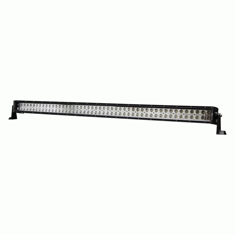 Daytona Lights 50