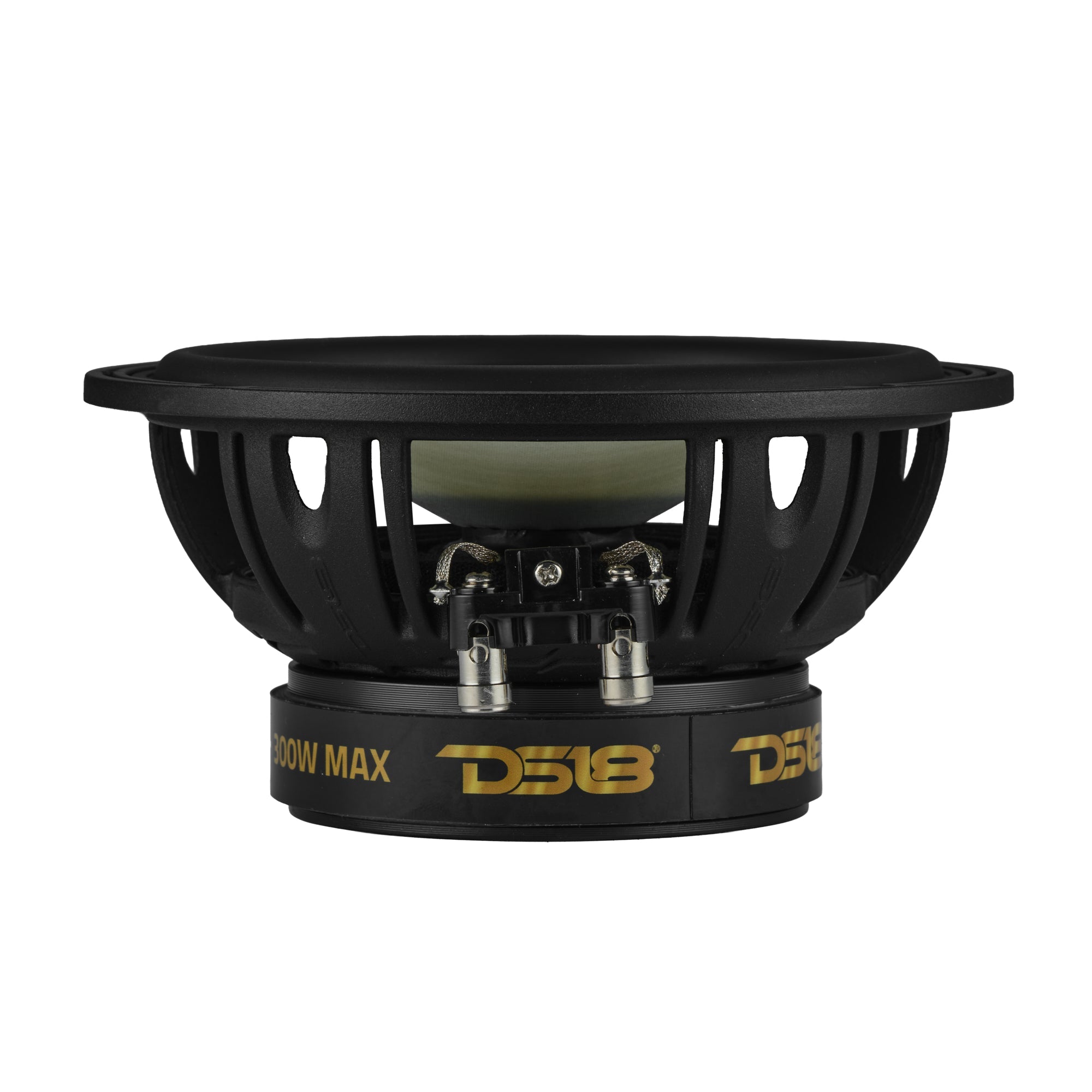 DXQ 6.5