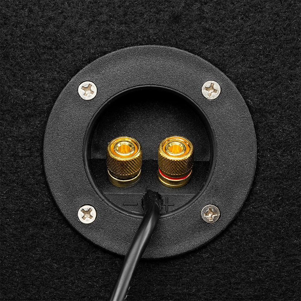 Ford F-150 2009-2023  2 x 10