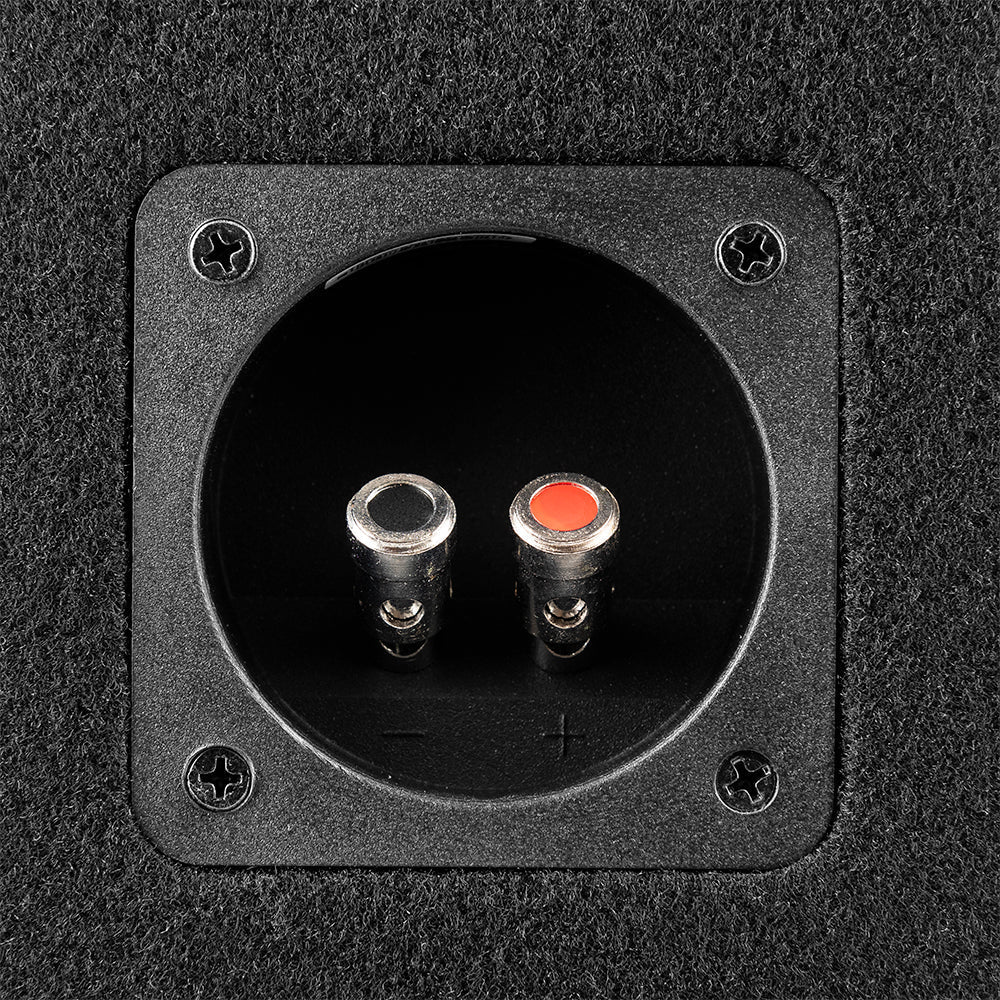 DS18 GEN-X210LD Bass Package 2 x GEN-X104D 10