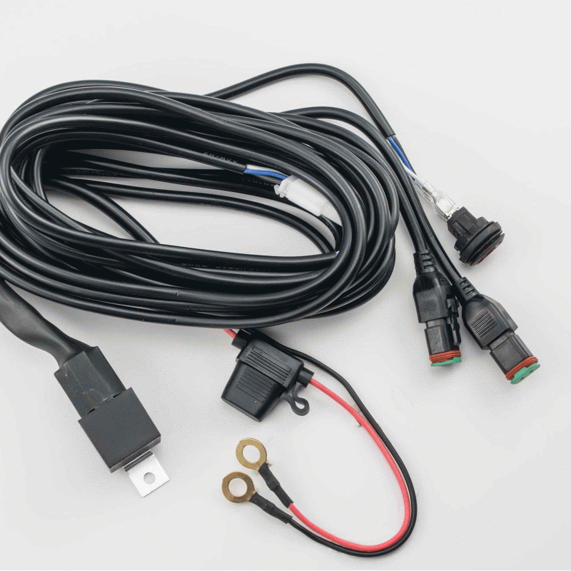 Wiring Harness and Switch Kit - 2 Lamp - HE-DLWH1
