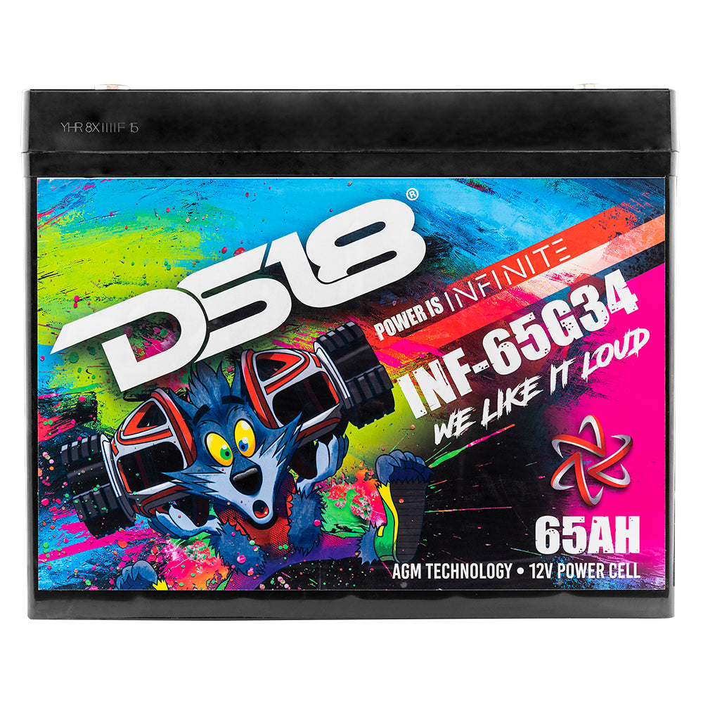 DS18 INF-65G34AH INFINITE 65 AH 2000 Watts AGM Group 34 Power Cell 12 Volt Battery
