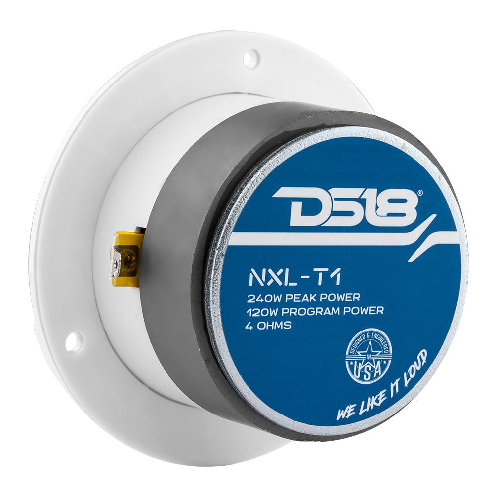 DS18 3.8