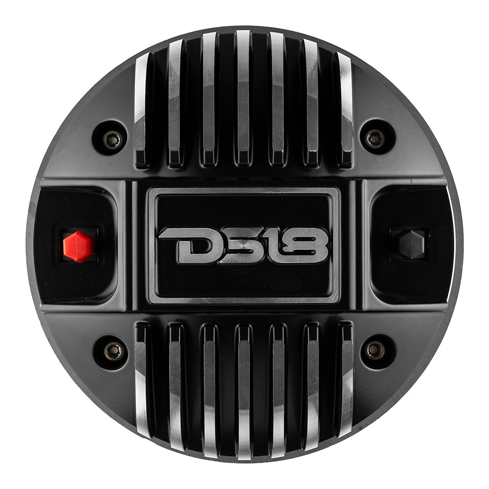 DS18 2